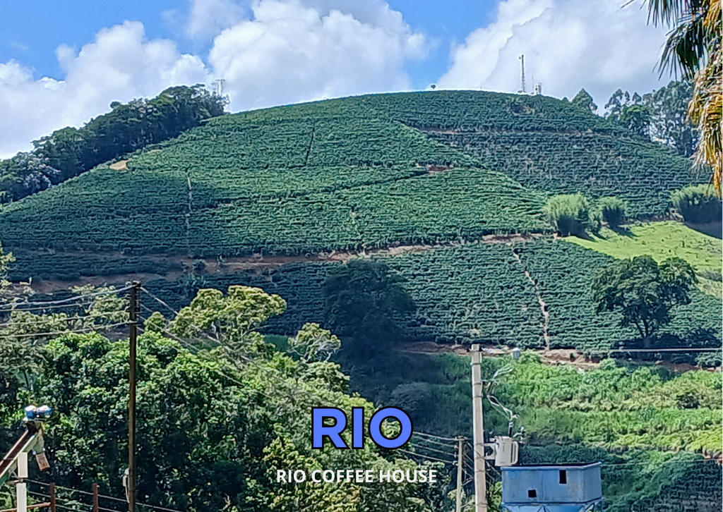 RIO